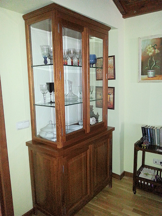 Estanteria de madera con puerta de cristal